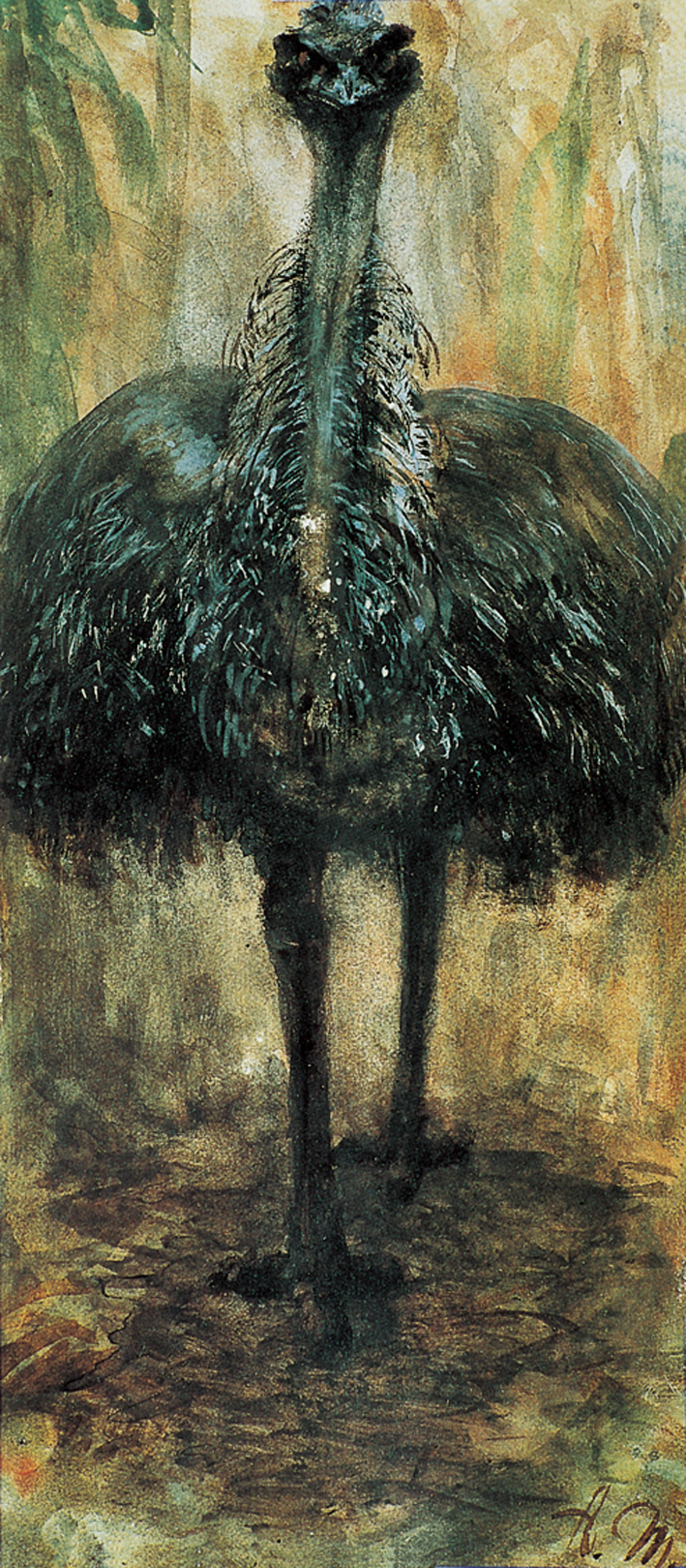  Adolpyh Von Menzel —— 食火鸡